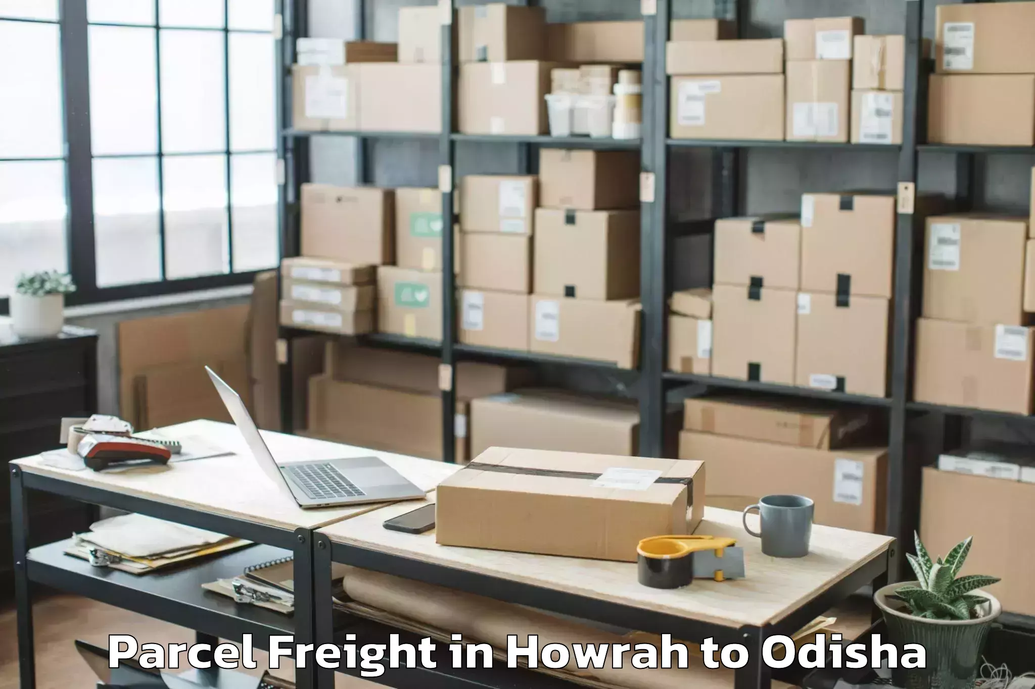 Hassle-Free Howrah to Xim University Harirajpur Parcel Freight